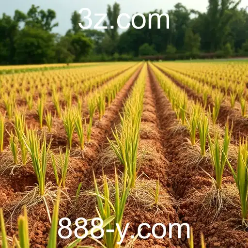 Tendências de Jogos em 2025: O Impacto do 888y